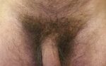 Файл:Justin Hayes male pubic hair.jpg - Викисловарь